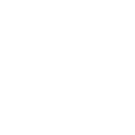 Wild CPD Logo
